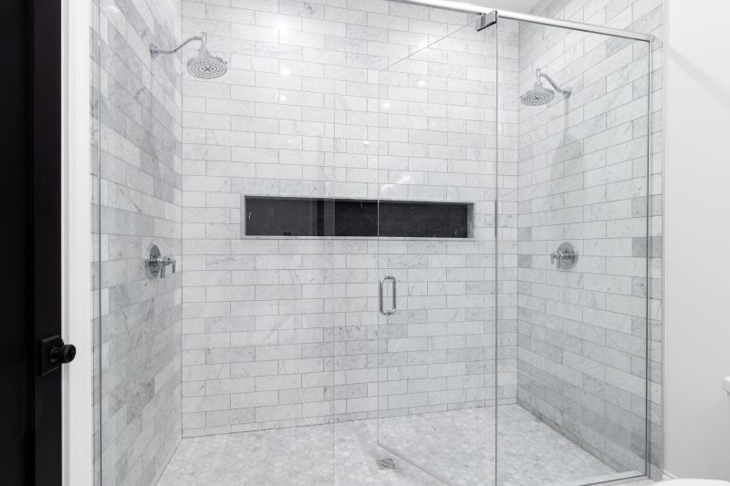 Elegant Shower Door